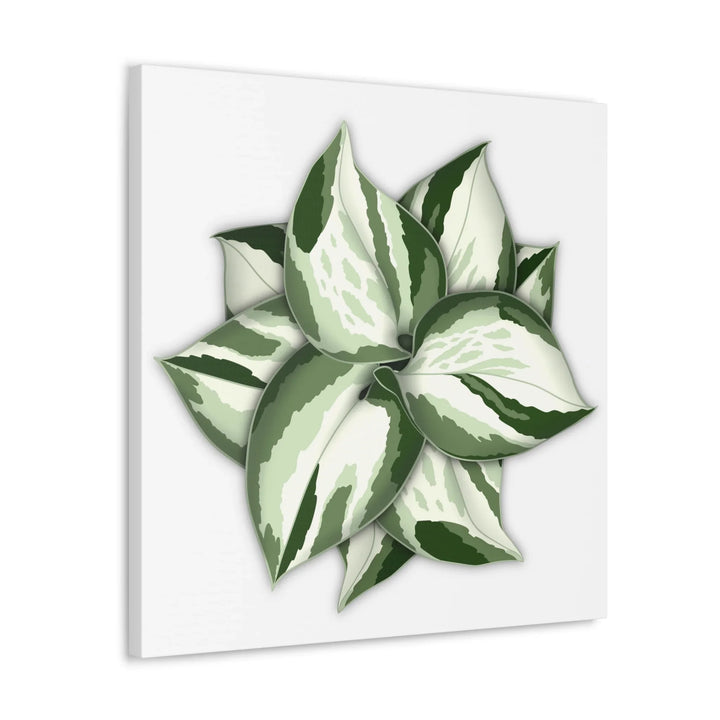Manjula Pothos Canvas | Botanical Canvas Print - Indoor Plant Print Wall Art - Laura Christine Photography & Design
