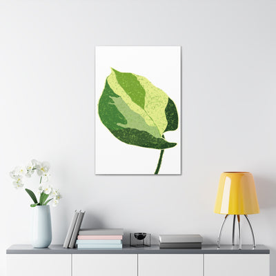 Manjula Pothos Canvas