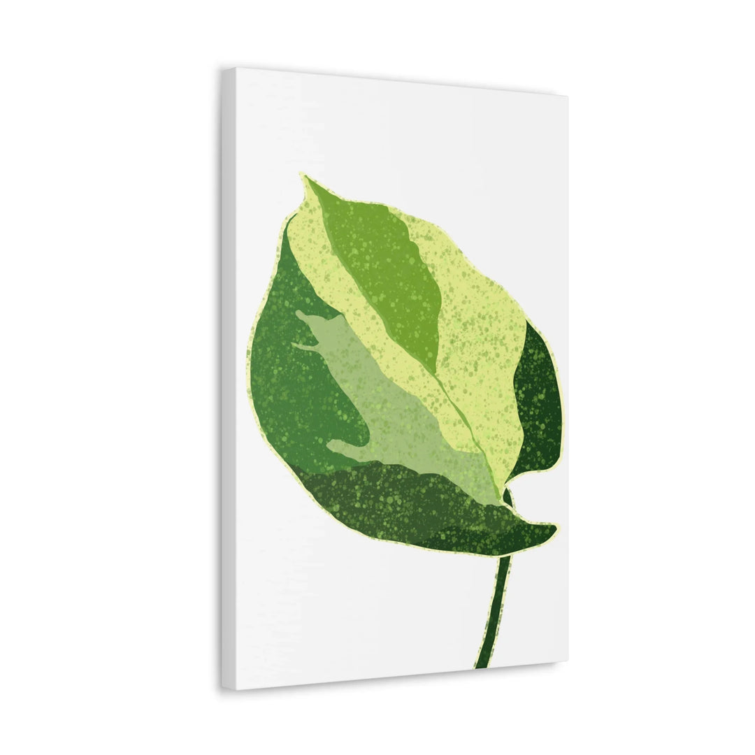 Pothos Canvas Print – Matte Finish Canvas Art Print With Durable Cotton Material - Laura Christine Photography & Design