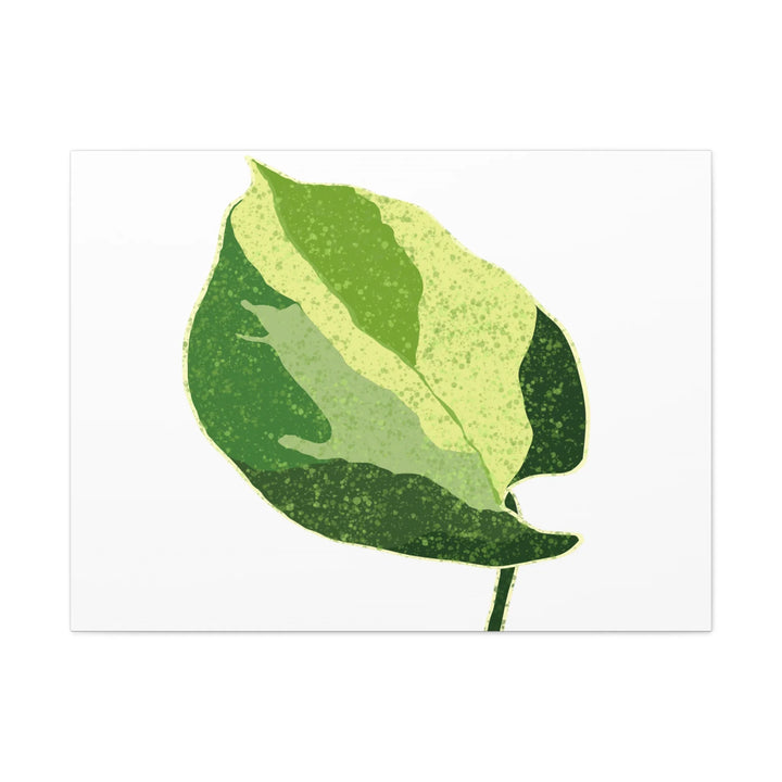 Pothos Canvas Print – Matte Finish Canvas Art Print With Durable Cotton Material - Laura Christine Photography & Design