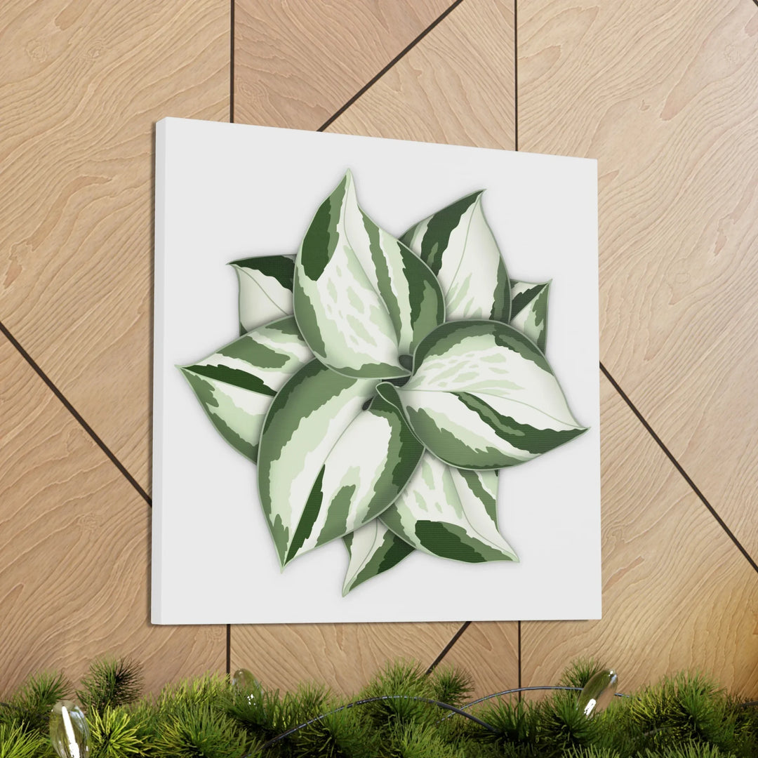 Manjula Pothos Canvas | Botanical Canvas Print - Indoor Plant Print Wall Art - Laura Christine Photography & Design