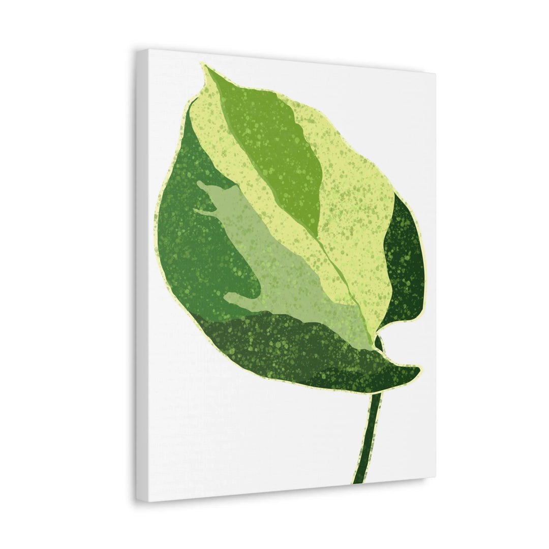 Pothos Canvas Print – Matte Finish Canvas Art Print With Durable Cotton Material - Laura Christine Photography & Design