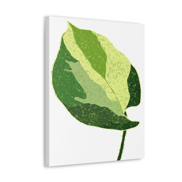 Pothos Canvas Print – Matte Finish Canvas Art Print With Durable Cotton Material - Laura Christine Photography & Design