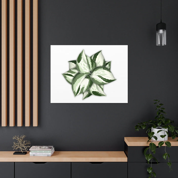 Manjula Pothos Canvas | Botanical Canvas Print - Indoor Plant Print Wall Art - Laura Christine Photography & Design