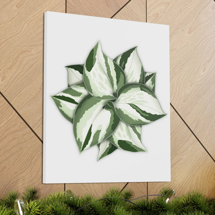 Manjula Pothos Canvas | Botanical Canvas Print - Indoor Plant Print Wall Art - Laura Christine Photography & Design