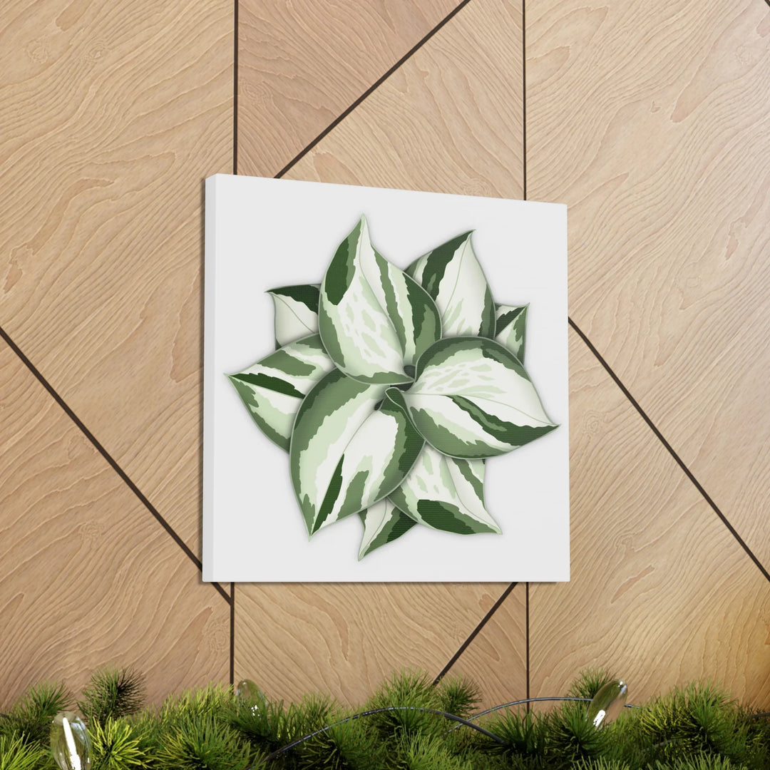 Manjula Pothos Canvas | Botanical Canvas Print - Indoor Plant Print Wall Art - Laura Christine Photography & Design