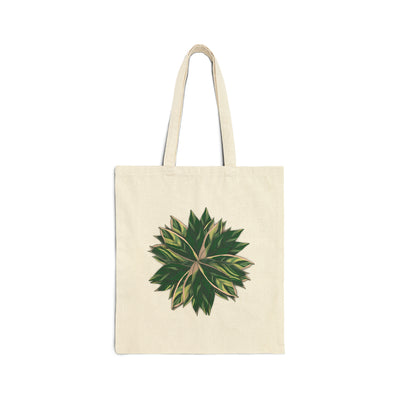 Stromanthe Triostar Tote Bag