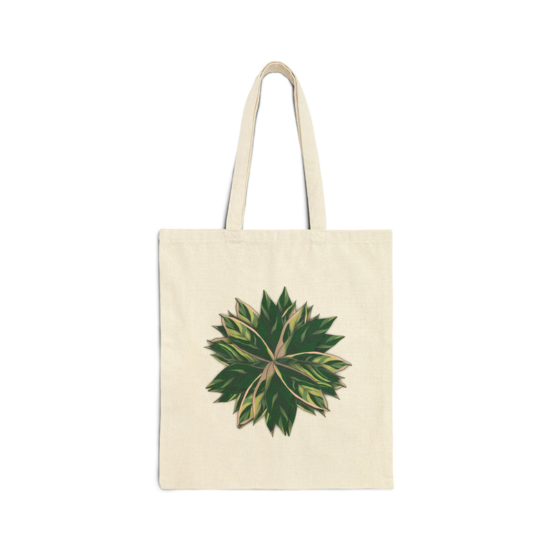 Stromanthe Triostar Tote Bag