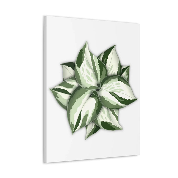 Manjula Pothos Canvas | Botanical Canvas Print - Indoor Plant Print Wall Art - Laura Christine Photography & Design