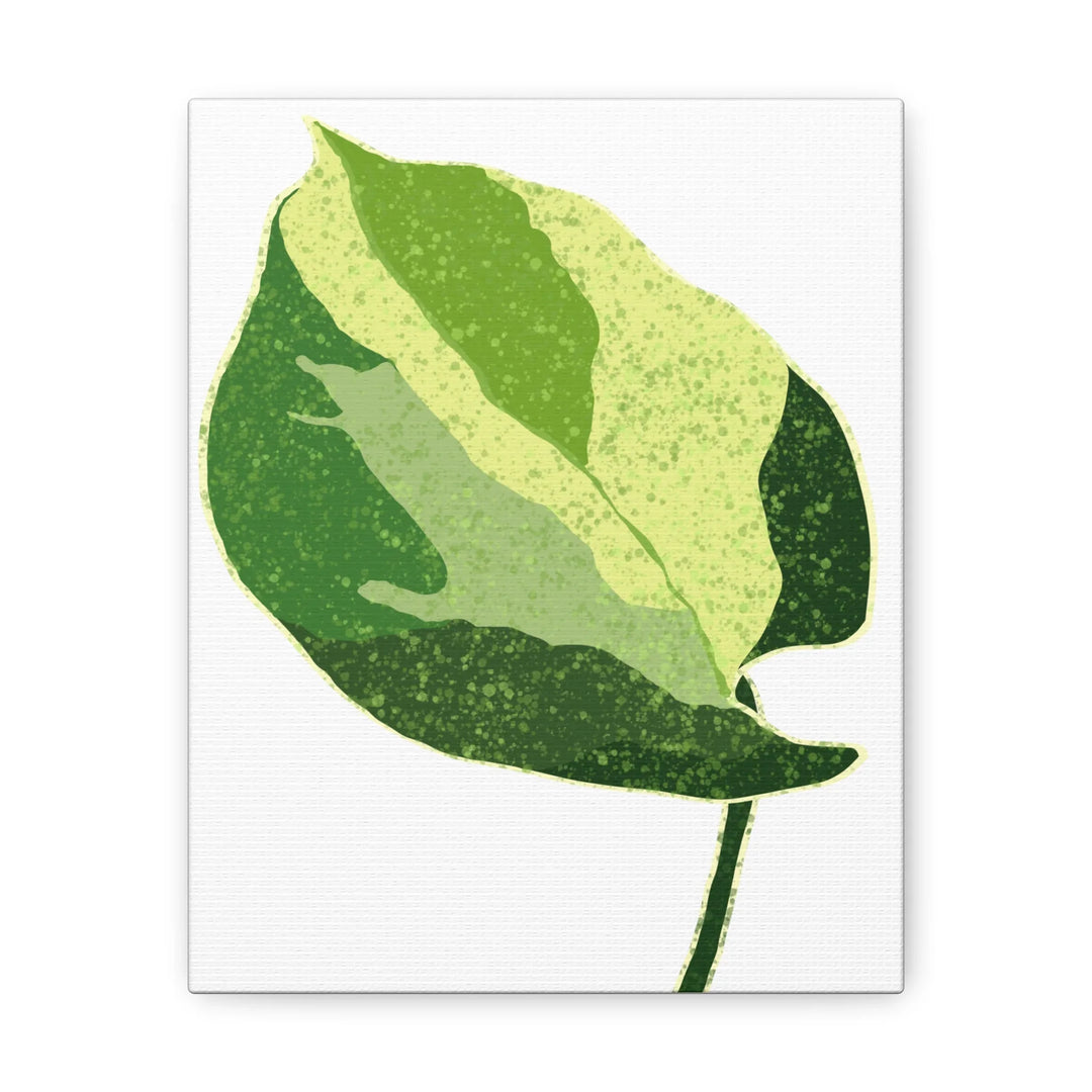 Pothos Canvas Print – Matte Finish Canvas Art Print With Durable Cotton Material - Laura Christine Photography & Design