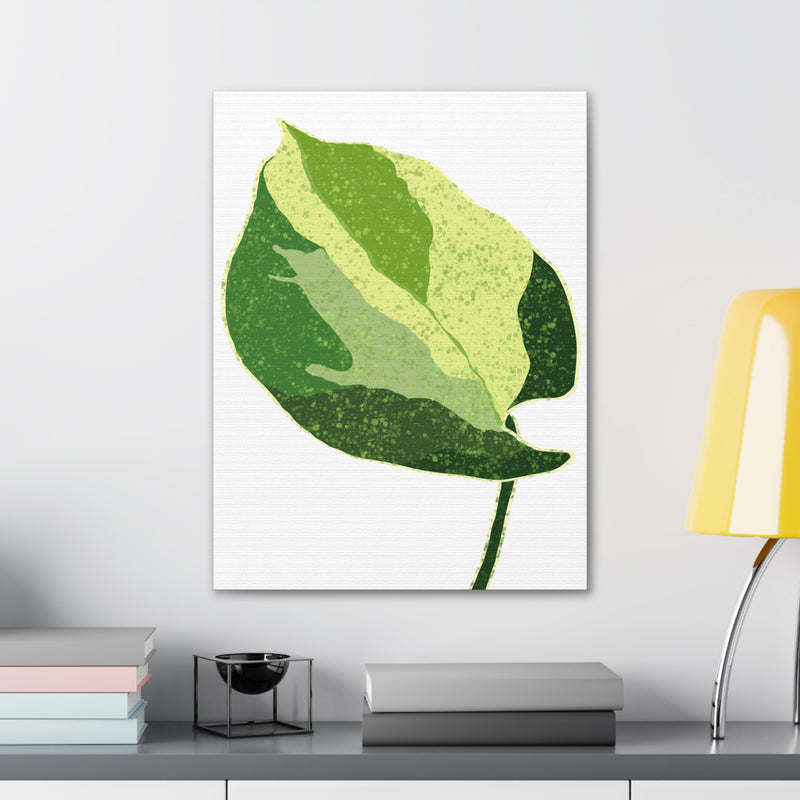 Manjula Pothos Canvas