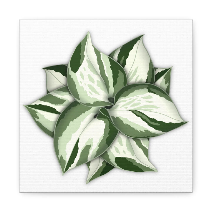 Manjula Pothos Canvas | Botanical Canvas Print - Indoor Plant Print Wall Art - Laura Christine Photography & Design