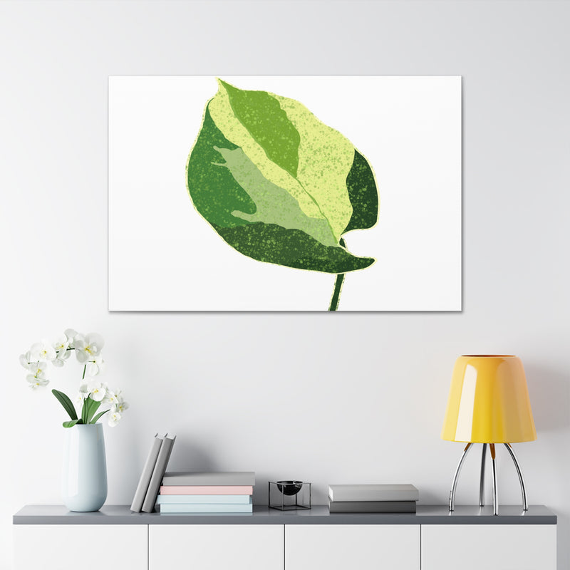 Manjula Pothos Canvas