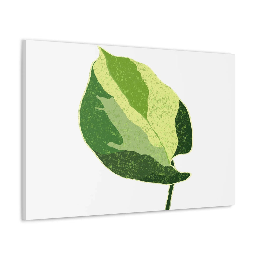 Pothos Canvas Print – Matte Finish Canvas Art Print With Durable Cotton Material - Laura Christine Photography & Design
