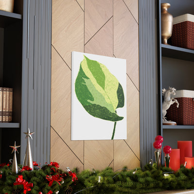 Manjula Pothos Canvas