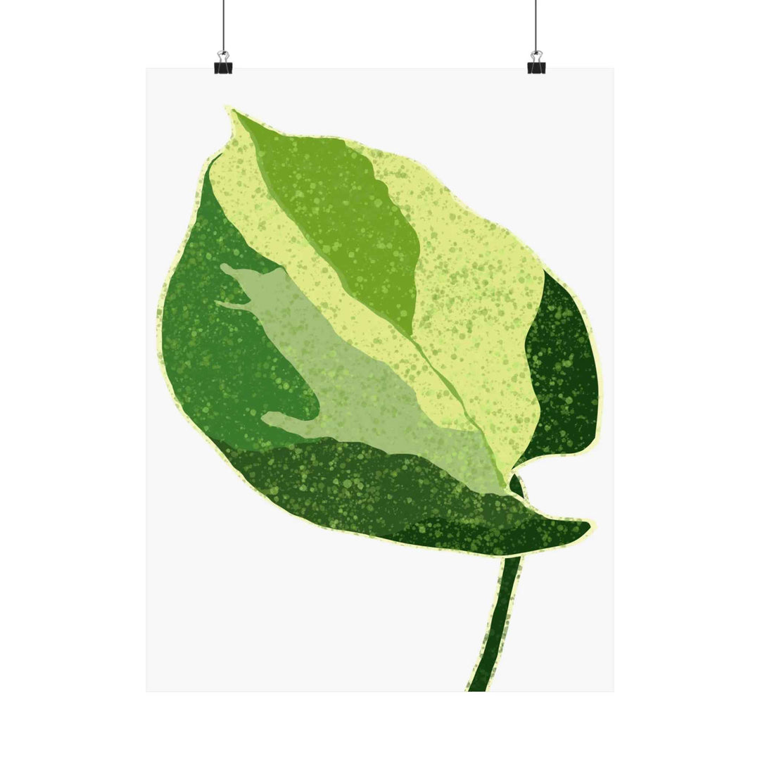 Pothos Wall Art – Botanical Poster on Museum Grade Paper | Indoor Plant Print Unframed