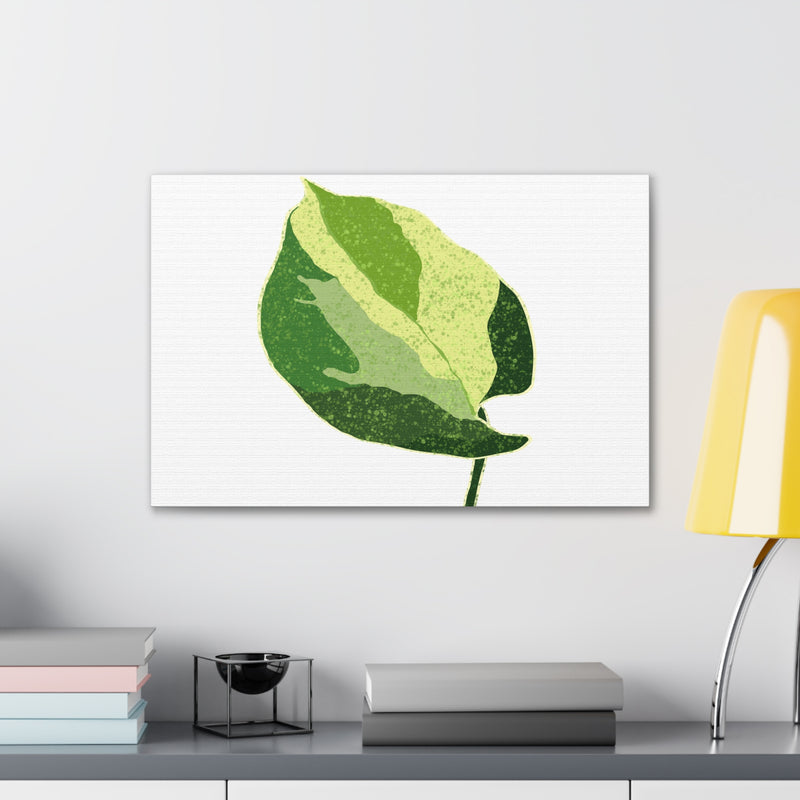 Manjula Pothos Canvas