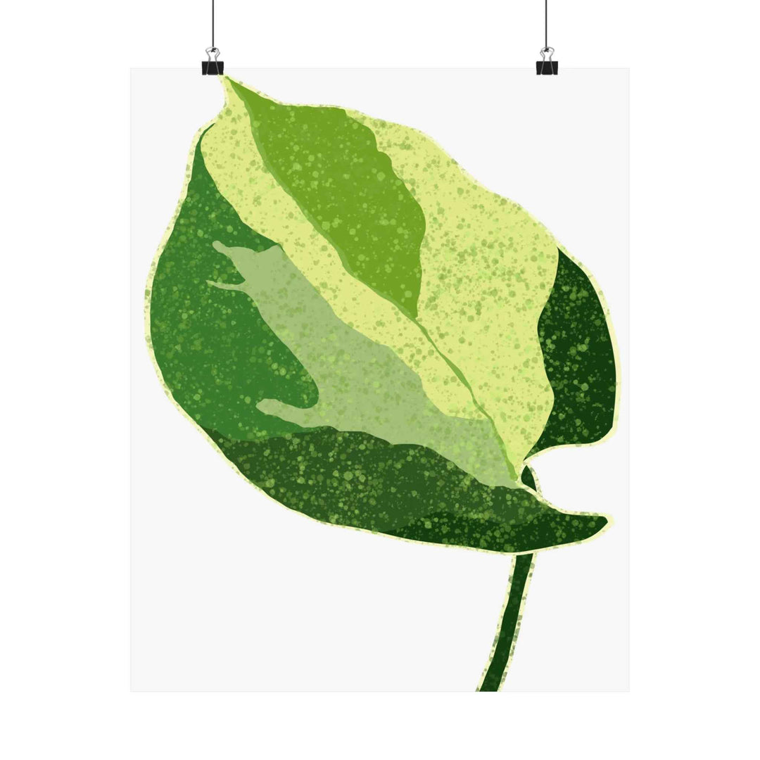 Pothos Wall Art – Botanical Poster on Museum Grade Paper | Indoor Plant Print Unframed