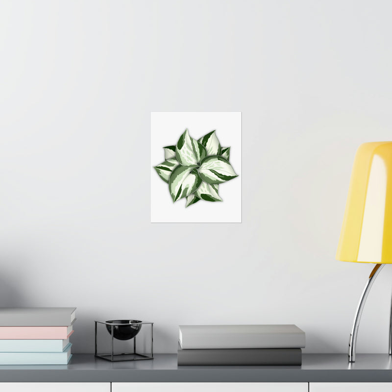 Manjula Pothos Print