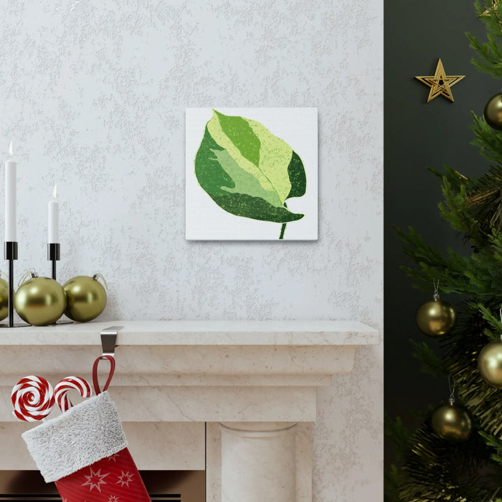 Pothos Canvas Print – Matte Finish Canvas Art Print With Durable Cotton Material - Laura Christine Photography & Design