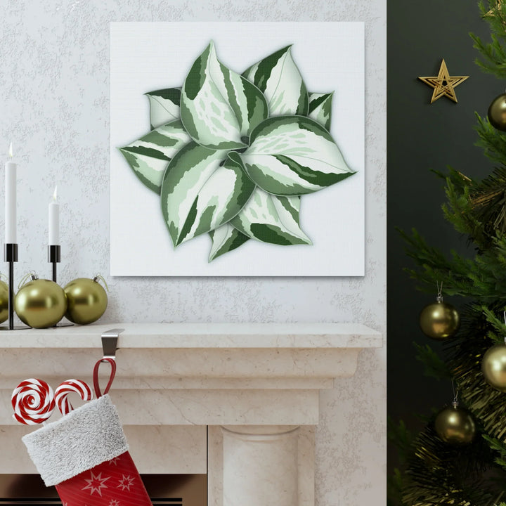 Manjula Pothos Canvas | Botanical Canvas Print - Indoor Plant Print Wall Art - Laura Christine Photography & Design