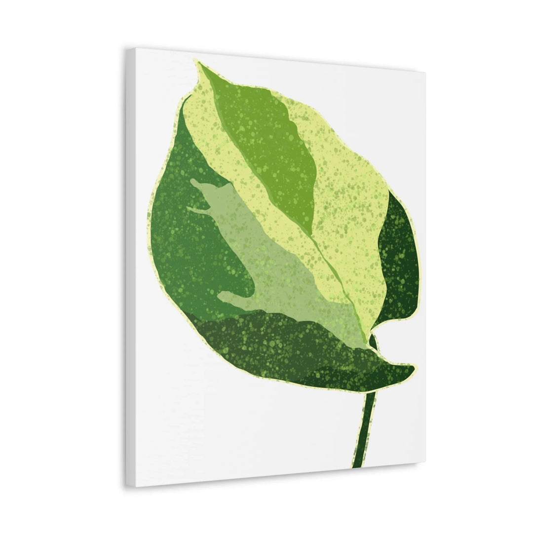 Pothos Canvas Print – Matte Finish Canvas Art Print With Durable Cotton Material - Laura Christine Photography & Design