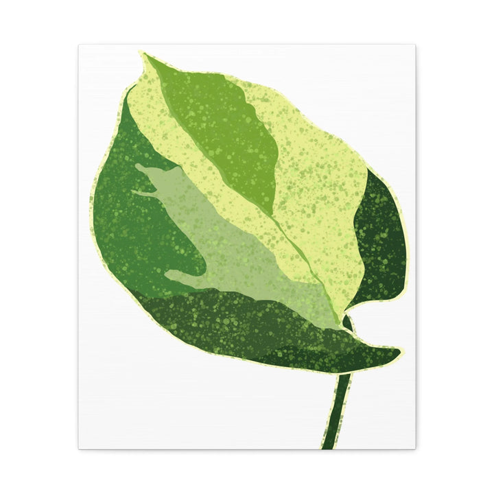 Pothos Canvas Print – Matte Finish Canvas Art Print With Durable Cotton Material - Laura Christine Photography & Design