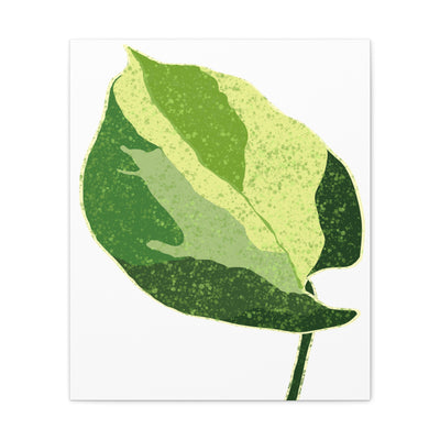 Manjula Pothos Canvas