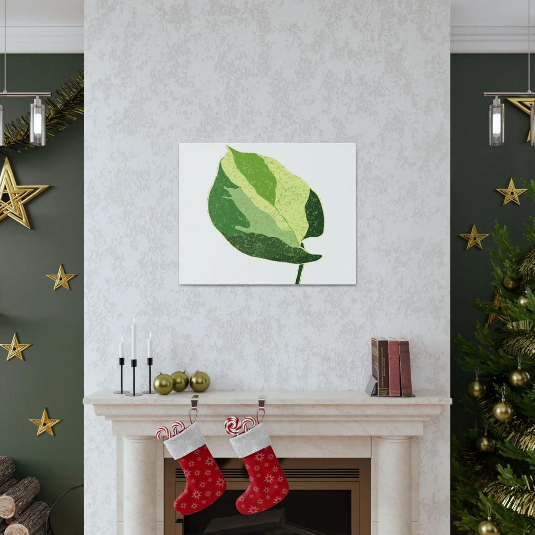 Pothos Canvas Print – Matte Finish Canvas Art Print With Durable Cotton Material - Laura Christine Photography & Design