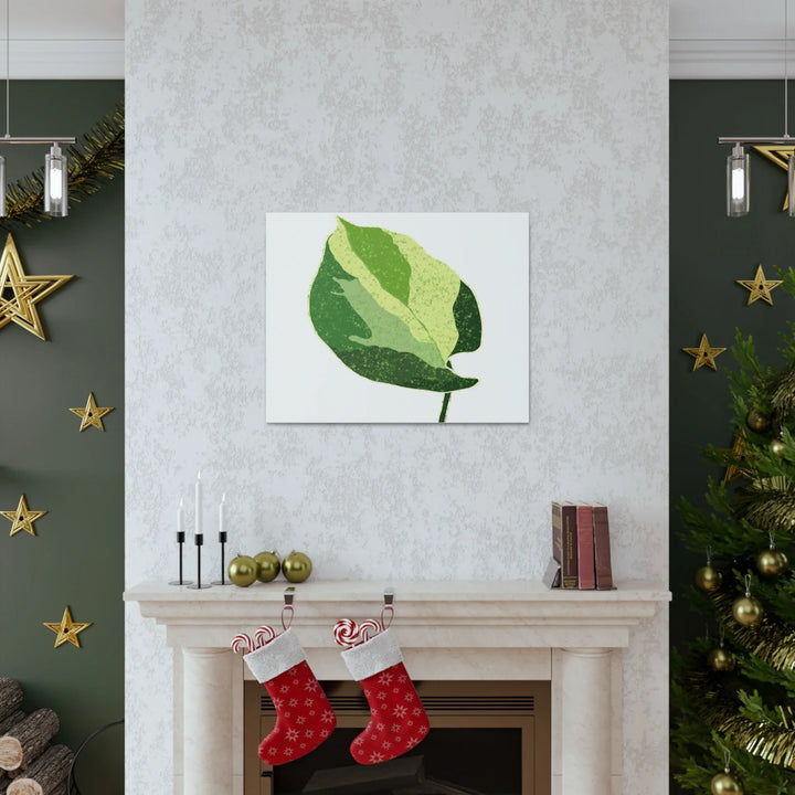 Pothos Canvas Print – Matte Finish Canvas Art Print With Durable Cotton Material - Laura Christine Photography & Design