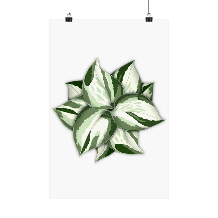 Manjula Pothos Print – Botanical Wall Art | Green Leaf Wall Decor | Unframed