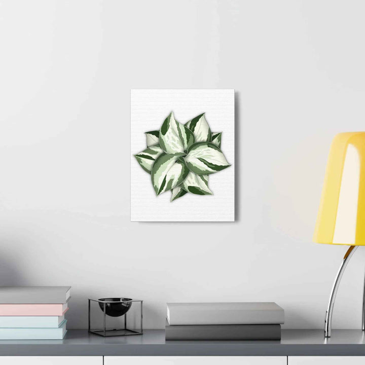 Manjula Pothos Canvas | Botanical Canvas Print - Indoor Plant Print Wall Art