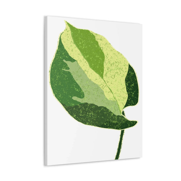 Pothos Canvas Print – Matte Finish Canvas Art Print With Durable Cotton Material - Laura Christine Photography & Design