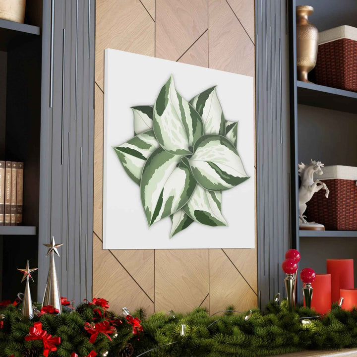Manjula Pothos Canvas | Botanical Canvas Print - Indoor Plant Print Wall Art