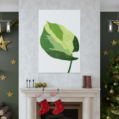 Manjula Pothos Canvas