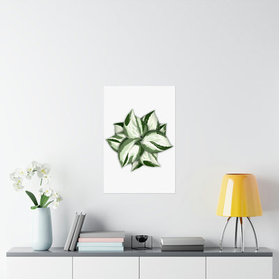 Manjula Pothos Print