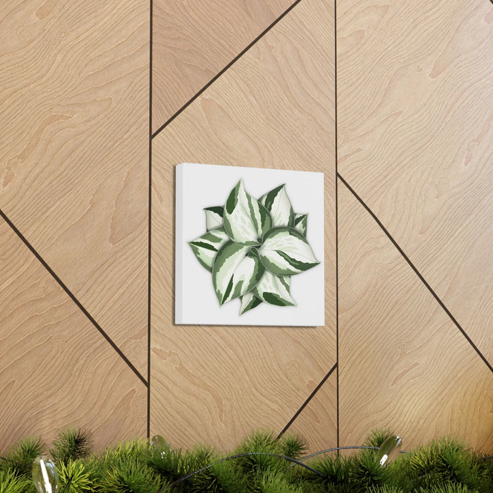 Manjula Pothos Canvas | Botanical Canvas Print - Indoor Plant Print Wall Art - Laura Christine Photography & Design