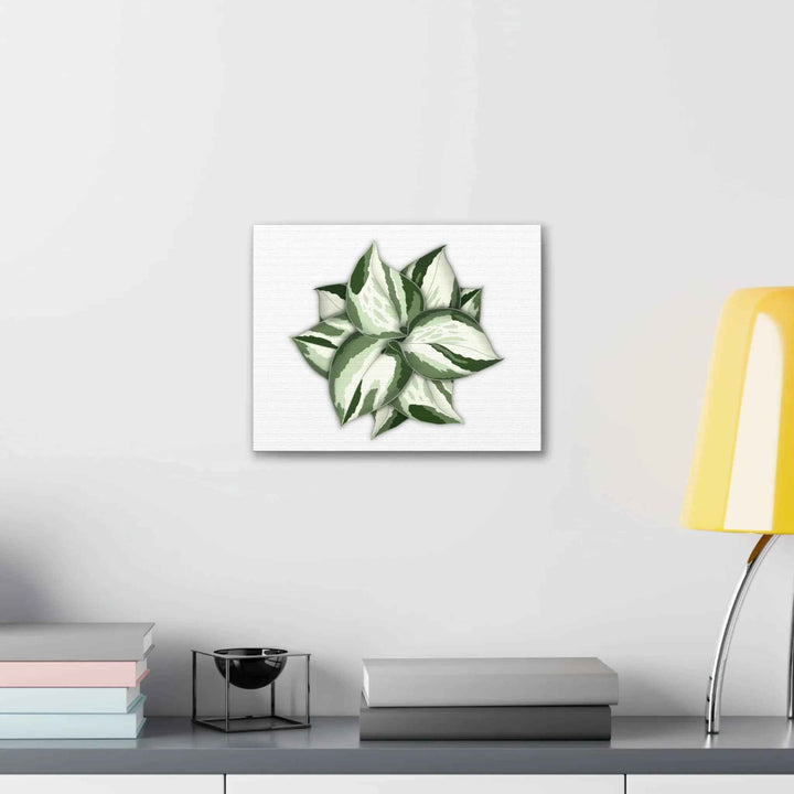Manjula Pothos Canvas | Botanical Canvas Print - Indoor Plant Print Wall Art
