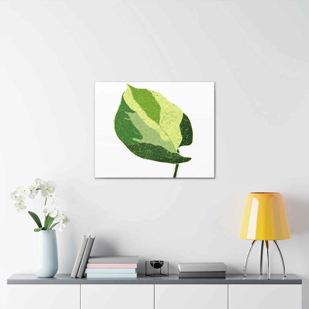 Pothos Canvas Print – Matte Finish Canvas Art Print With Durable Cotton Material