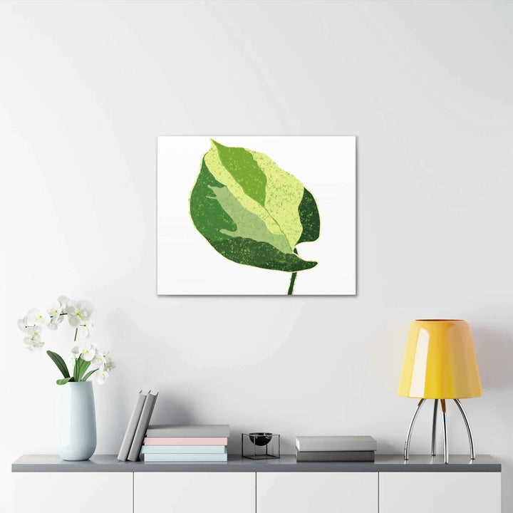 Pothos Canvas Print – Matte Finish Canvas Art Print With Durable Cotton Material