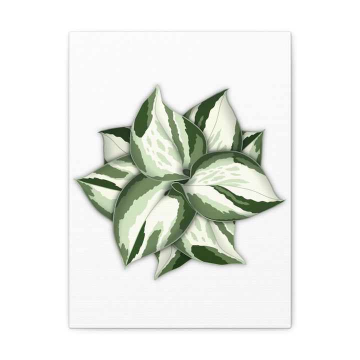 Manjula Pothos Canvas | Botanical Canvas Print - Indoor Plant Print Wall Art - Laura Christine Photography & Design