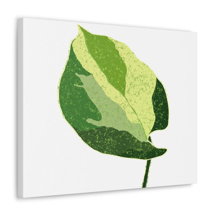 Pothos Canvas Print – Matte Finish Canvas Art Print With Durable Cotton Material - Laura Christine Photography & Design