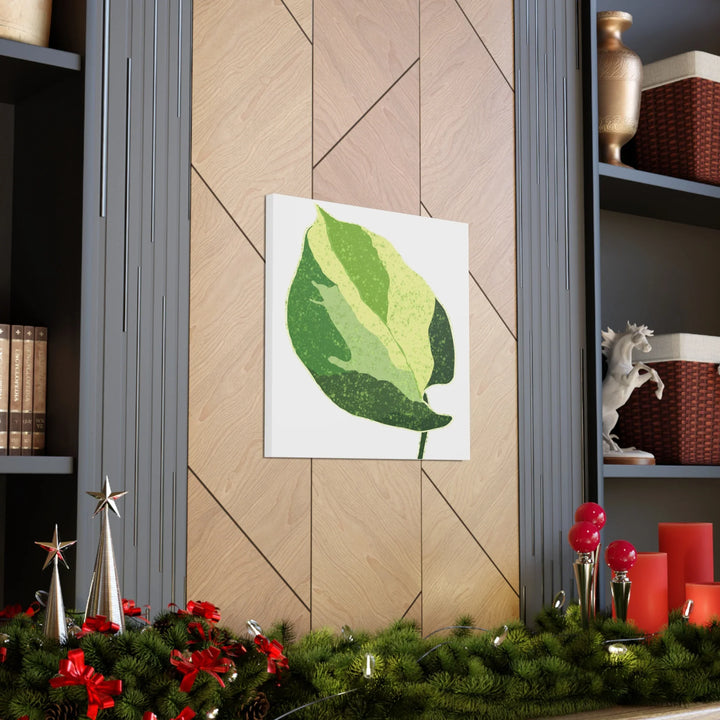 Pothos Canvas Print – Matte Finish Canvas Art Print With Durable Cotton Material - Laura Christine Photography & Design