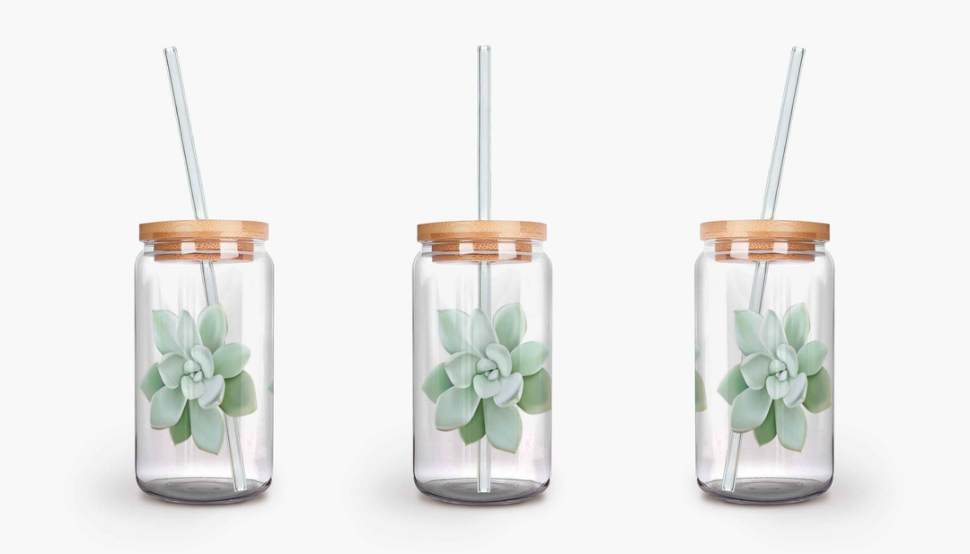 Pachyveria Haagei Succulent Soda Can Glass – 16 oz Durable Glass Tumbler with Bamboo Lid & Straw