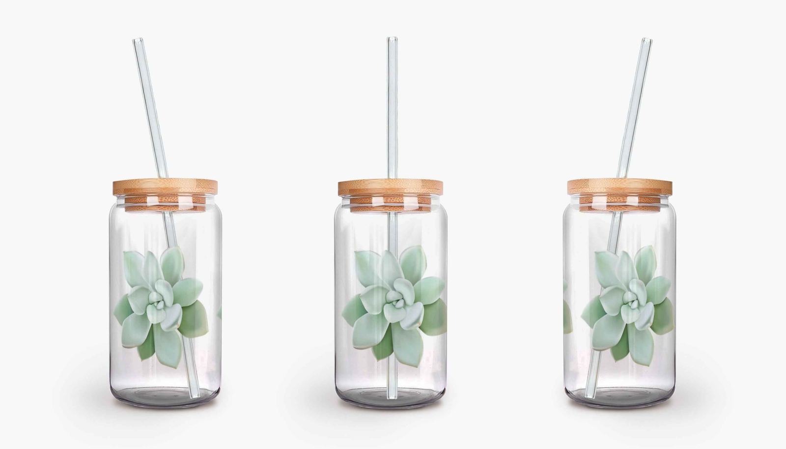 Pachyveria Haagei Succulent Soda Can Glass – 16 oz Durable Glass Tumbler with Bamboo Lid & Straw