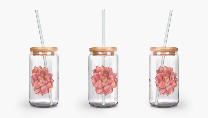 Graptosedum California Sunset Succulent Soda Can Glass – 16 Oz Durable Glass Tumbler With Bamboo Lid & Straw