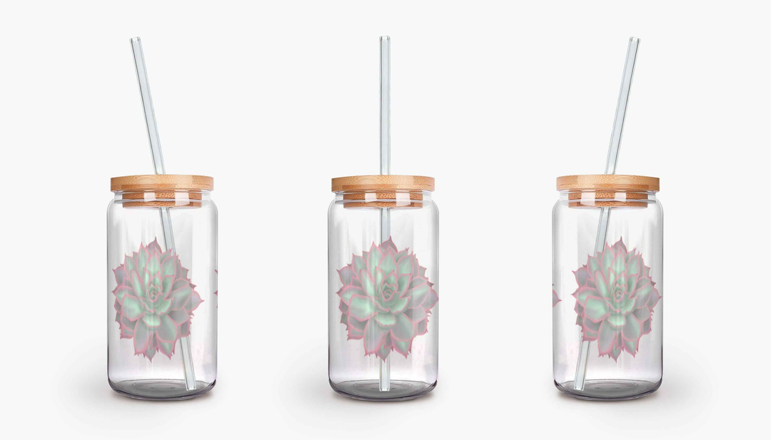 Echeveria "Violet Queen" Succulent Soda Can Glass – 16 oz Durable Glass Tumbler with Bamboo Lid & Straw