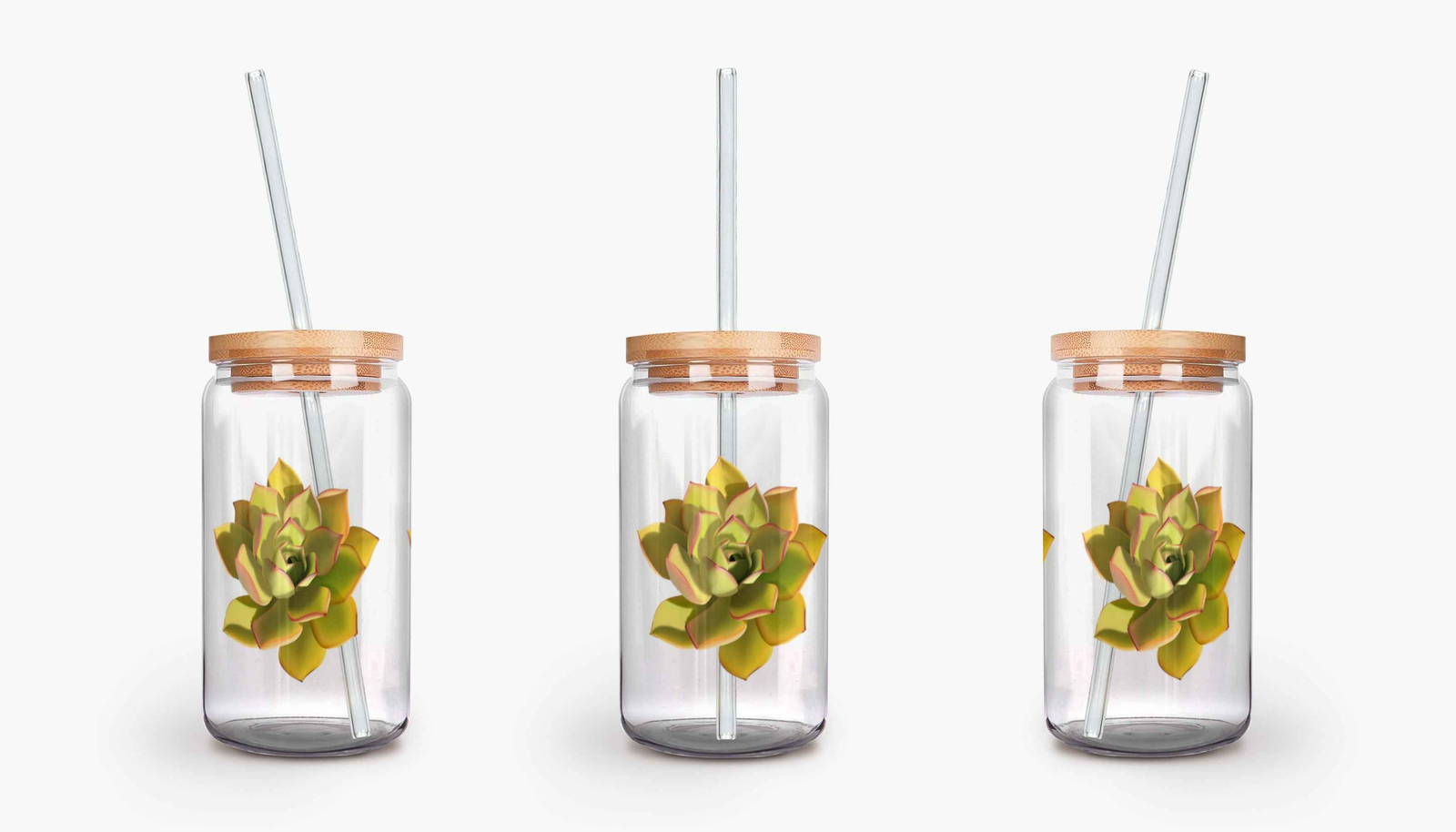 Noble Aeonium Succulent Soda Can Glass – 16 oz Durable Glass Tumbler with Bamboo Lid & Straw