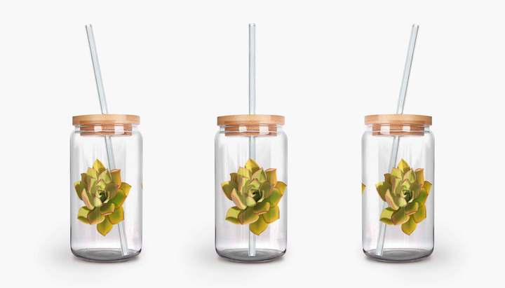 Noble Aeonium Succulent Soda Can Glass – 16 oz Durable Glass Tumbler with Bamboo Lid & Straw