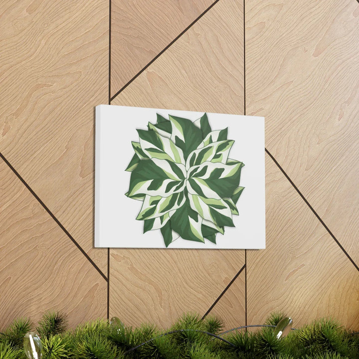Calathea White Fusion Canvas | Indoor Wall Art - Matte Finish Botanical Canvas Art Print - Laura Christine Photography & Design